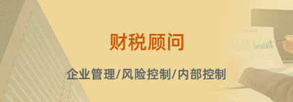 财税顾问